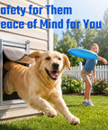 Golden Retriever happily exiting an All Aluminum Pet Door For Wall Built Tough With A Heavy Duty Reinforced Frame.