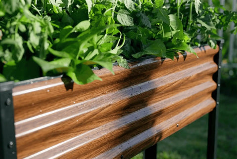 Close-up of 2 Pack Elevated Metal Raised Garden Bed With Legs 48 By 18 By 32 Inches Outdoor Planter Boxes For Backyard Patio And Balcony