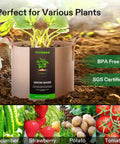 Five-Pack 10 Gallon Heavy Duty Nonwoven Grow Bags With Thickened Fabric And Rugged Strap Handles Tan For Air-Pruned Roots, Strong Drainage, Reusable Plant Pots