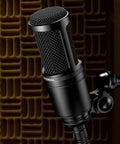 AT2020 Cardioid Condenser Studio Microphone For Project And Home Studio Setup XLR Connector High SPL Handling