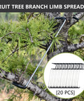 Fruit Tree Limb Spreader Set Of 20 7 Inch Branch Puller With Plastic Hose Wrapped Iron Wire Durable Open Angle Tool For Safe Branch Spreading In Garden Orchard Workhorse Yard Must Have