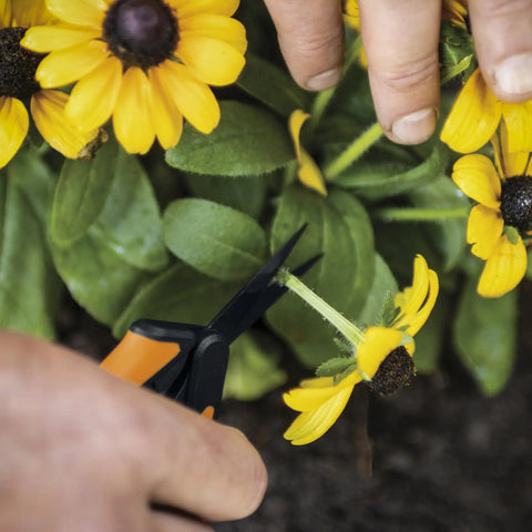 Handy Six Inch Non Stick Pruning Snips Featuring Razor Sharp Micro Tips And Sturdy Carry Pouch For Precision Garden Scissors Making Tough Plant Cuttings Feel Like A Piece Of Pie For Lawn Heroes