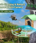 Solar Powered Bird Feeder With Camera 2K HD Video Live Capture, AI Species Identification And Real Time Alerts mounted on tree with birds