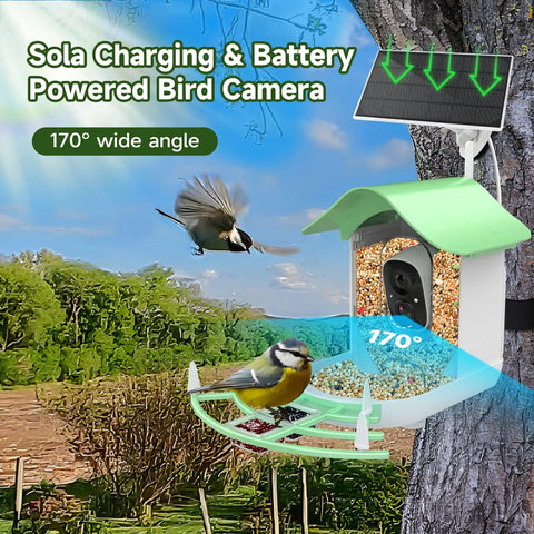 Solar Powered Bird Feeder With Camera 2K HD Video Live Capture, AI Species Identification And Real Time Alerts mounted on tree with birds