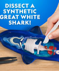 Glow In The Dark Great White Shark Anatomy Kit With 12 Bones And Organs, dissection tools and synthetic shark on table