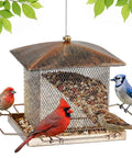 Built Tough Outdoor Hanging Bird Feeder With Waterproof Metal Build, Large 3.5Lb Capacity for Garden Yard or Backyard, with birds feeding