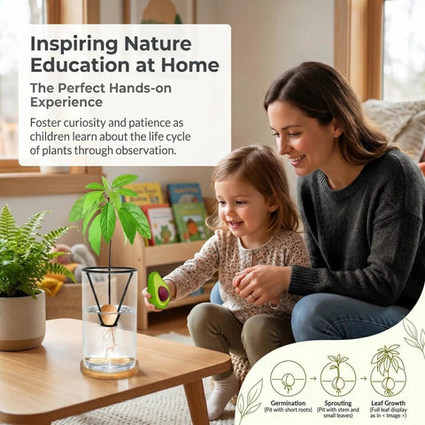All-In-One Avocado Seed Starter Kit With Glass Vase, Bamboo Base, Rustproof Metal Stand, Cleaning Brush And Decorative Avocado Ornament No Seed Included, Easy Germination In 1 To 2 Months, Totally Giftable For Plant Lovers On Your Desk Or Home Garden