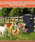 Set And Forget Outdoor Dog Feeder With Sturdy Rain Cover 25 Pound Gravity Kibble Bowl For Large Breeds Auto Fill Pet Station with deer, goat, dog, and chicken.