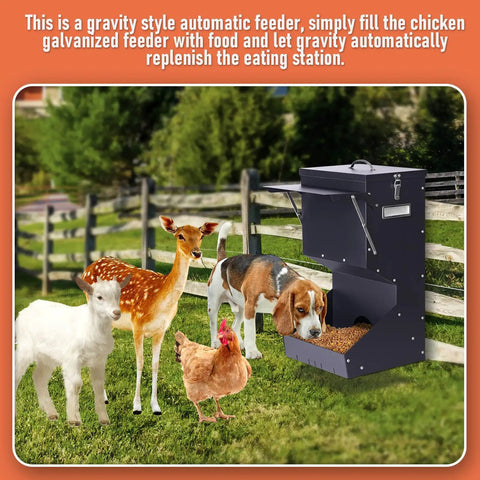 Set And Forget Outdoor Dog Feeder With Sturdy Rain Cover 25 Pound Gravity Kibble Bowl For Large Breeds Auto Fill Pet Station with deer, goat, dog, and chicken.