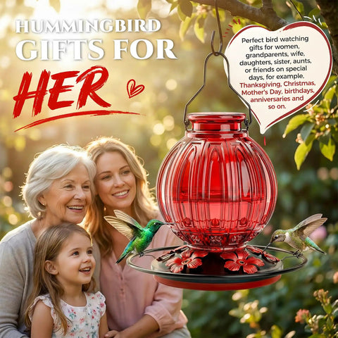 Glass Hummingbird Feeder 26 Oz With Perch And Five Flower Feeding Ports Leak Proof Outdoor Garden Hanging Nectar Bottle in garden