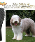 Dog with fluffy coat next to Undercoat Dematting Mini Rake For Doggos And Kitties With V Shape Head And Double Row Stainless Steel Rotating Teeth