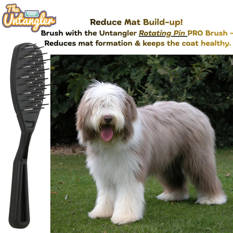 Dog with fluffy coat next to Undercoat Dematting Mini Rake For Doggos And Kitties With V Shape Head And Double Row Stainless Steel Rotating Teeth