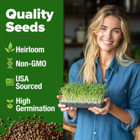 Woman holding tray of green sprouts, text listing features of Broccoli Sprout Seeds 8 Oz Bulk Heirloom Non GMO High Germination Sulforaphane Rich.