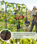 Family gardening with heavy duty 7.3ft cucumber trellis for raised bed garden arch with net rustproof steel plant support.