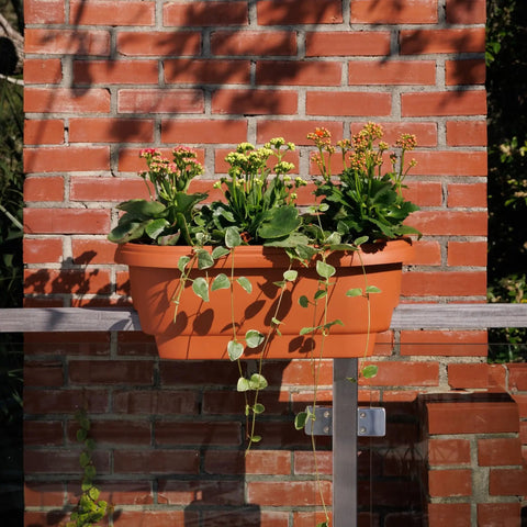 Terra Cotta 24 Inch Rail Planter For Deck And Balcony With 4 Gallon Capacity Fits Rails Three And One Quarter To Three And Three Quarter Inches Wide UV Protected Resin Weather Resistant No Tool Needed Easy Cleaning Made In USA with flowers installed on a railing.