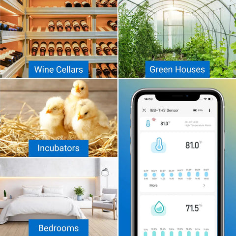 WiFi Thermometer and Humidity Sensor IBS TH3 Smart Temp Humidity Monitor With Remote Phone Access, 2.4GHz Wireless Control, No Gateway Needed, Easy App Setup for Home, Office, Garage, or Patio. App screen shown for temperature and humidity monitoring in wine cellars, greenhouses, incubators, and bedrooms.
