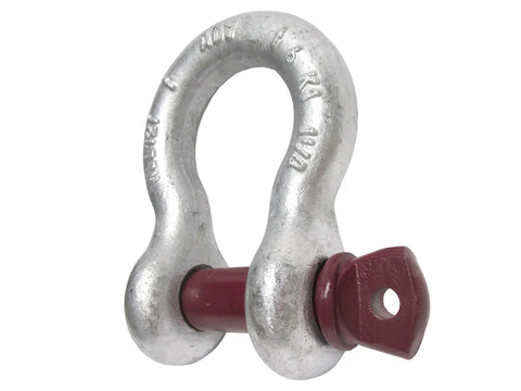 Professional Grade Screw Pin Anchor Shackle featuring a beefy 1-1/4 inch width and 1-3/8 inch pin. Ideal for heavy tow rigging and garage recovery work.