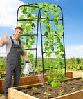 Gardener tending plants on 7ft Garden Arch Trellis For Climbing Plants Tough As Nails Heavy Duty Steel Outdoor Arbor in raised bed