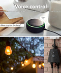 Voice control instructions featuring Outdoor Smart WiFi Plug Set With Two Grounded Outlets, Heavy Duty Timer, Works With Alexa and Google Assistant.
