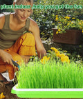 Woman using Six Pack Seed Sprouting Trays With Drain Holes BPA Free Plastic Germination Trays For Microgreens Wheatgrass