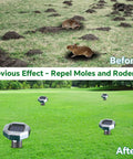 Before and after using Solar Powered Ultrasonic Mole And Pest Repellent For Lawns And Gardens, keeps pests out with low frequency pulses.