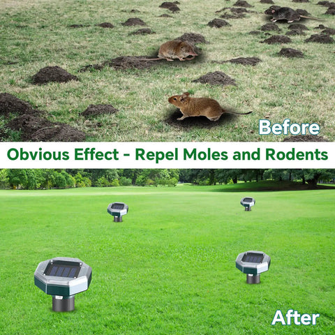 Before and after using Solar Powered Ultrasonic Mole And Pest Repellent For Lawns And Gardens, keeps pests out with low frequency pulses.