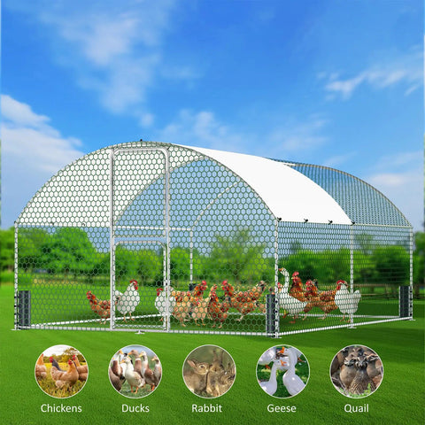 Large Metal Chicken Coop And Walk In Chicken Run With Feeding Door Security Lock And Cover For Outdoor Backyard Farm And Yard Poultry Pen Dome Roof Silver 13.1 X 9.8 X 6.6 Feet with chickens inside