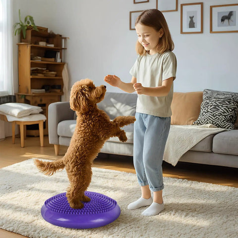 Small dog on 14-Inch Dog Balance Disc With Cushioned Platform And Pump, Pro Grade Canine Rehab And Balance Trainer, indoors, purple.