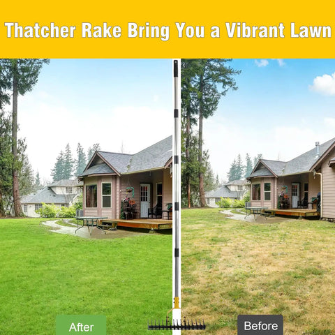2 In 1 Lawn Dethatcher Rake With Dual Side Tines in use showing before and after lawn condition near house