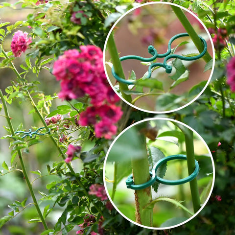 Green Twist Plant Tie Kit With 118 Feet Of Flexible TPR Garden Ties And 20 Plant Clips supporting garden plants