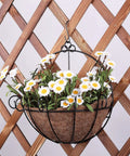 Hanging basket with white flowers displaying use of 10 Pack Black S Hooks For Hanging 2.4 Inch Long, Lightweight Alloy Steel Hangers