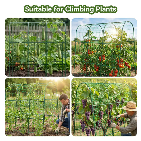 Arch Cucumber Trellis For Raised Beds, U Shape Metal Garden Trellis For Climbing Plants with cucumbers, tomatoes, grapes growing on it.