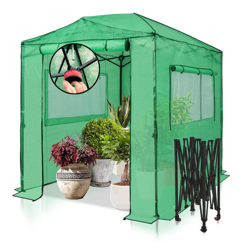 8x6 Portable Walk In Greenhouse Pop Up Indoor Outdoor Garden Shelter Kit With Zippered Doors And Windows PE Cover Clear Green No Tools Needed Center Lock Quick Setup showing foldable frame and plants inside