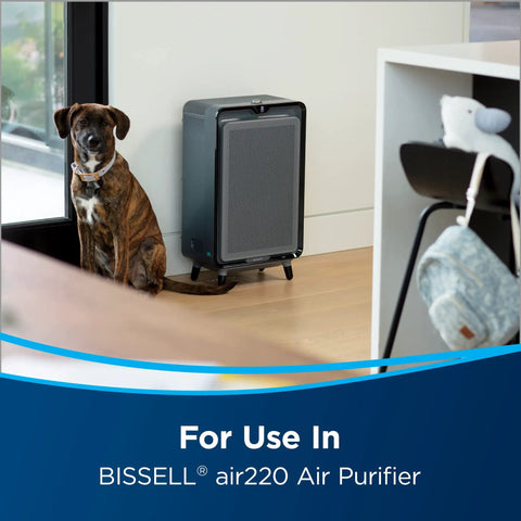 Dog sitting near Air Purifier Replacement Pet Pro Filter Pack For Air 220 Model, Pet Hair Dander Odor Filtration unit