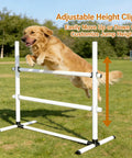 Golden retriever jumping All Weather Dog Agility Jump Set With Adjustable Bars PVC Training Kit for indoor outdoor easy setup exercise
