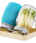 All In One Sprouting Jar Kit With 2 Wide Mouth Mason Jars Mesh Lids Blackout Sleeves Stand And Tray For Easy Home Sprouting