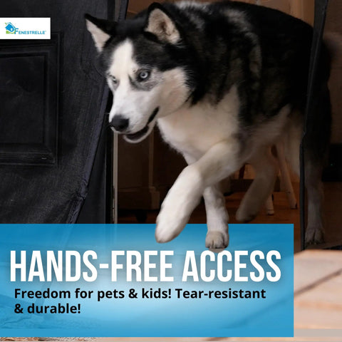 Husky walking through Magnetic Screen Door For French And Sliding Doors, Heavy-Duty Hands-Free Fiberglass Mesh, Black Trim, 72x82