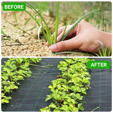 Comparison of garden soil before and after using Heavy Duty Landscape Fabric With Planting Holes 4 By 25 Feet Ground Cover For Gardens.