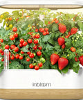 12 Pod Hydroponics Growing System For Indoor Herb Garden With Full Spectrum LED Grow Light Water Shortage Alarm