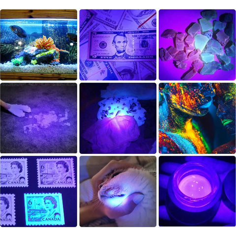 Pro Grade 395Nm UV Black Light Flashlight on aquarium, money, stones, pet stains, artwork, stamps, cat, resin in dark environment