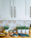 10 Pack 6 Inch Brushed Satin Nickel Cabinet Pulls Durable Solid Zinc Alloy Round Cabinet Hardware For Kitchen Cupboards Drawers And Dresser Handles Ideal For Modern Home Cabinets Upgrade Now. Two cabinet pulls on white kitchen cabinets above a countertop with plants and utensils.