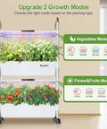 Movable Two Layer Indoor Hydroponic Garden System With 54 Pods And 30W LED Grow Light showing vegetable and fruit plants