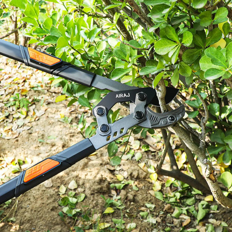 Extendable Anvil Loppers For Garden Pruning, Heavy Duty Tree Trimmer With 27 To 37 Inch Adjustable Aluminum Handle, 2 Inch Cutting Capacity, Cuts Thick Branches With Ease, Boss Grade Pruning Tool For Landscaping cutting a shrub