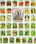 43 Assorted Vegetable And Herb Seed Packets Stash With Over 10,000 Seeds Includes Mylar Storage Bag For Easy Long Term Seed Storage Deluxe Heirloom Non GMO Collection High Germination In 7 To 14 Days Backyard Gardener Starter Kit