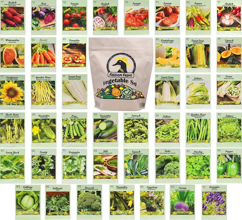 43 Assorted Vegetable And Herb Seed Packets Stash With Over 10,000 Seeds Includes Mylar Storage Bag For Easy Long Term Seed Storage Deluxe Heirloom Non GMO Collection High Germination In 7 To 14 Days Backyard Gardener Starter Kit