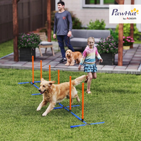 Golden retriever navigating Adjustable Dog Agility Training Equipment For Backyard Courses With Weave Poles Carry Bag And Ground Stakes For Indoor Or Outdoor Use Practice Fun And Peak Performance For Pups in backyard