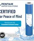 Pentair water filter with certification, blue granular activated carbon design, Under Sink 10 Inch GAC Carbon Water Filter Cartridge For 10x2.5 Inch Housings, 20 Micron Granular Activated Carbon Replacement, Cuts Chlorine Taste And Odor For Better Tasting Water, Sediment And Rust, White.