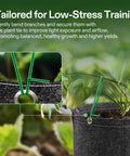 164 Ft PE Coated Green Plant Ties With Cutter used for plant support in a garden setting.