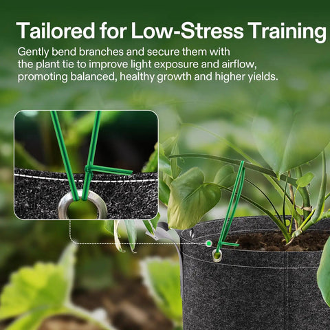 164 Ft PE Coated Green Plant Ties With Cutter used for plant support in a garden setting.