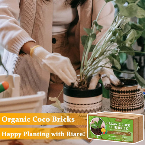 Gardener using Two Pack Organic Coco Coir Bricks For Garden Soil 8x4x2 Inch Each 1.4 Lb 100 Percent Natural Coconut Pith And Fiber